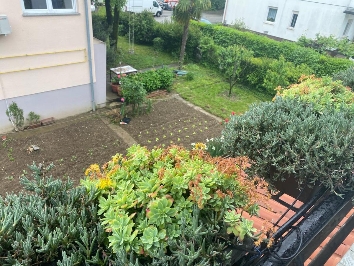 Apartma Magnolija ノヴァ・ゴリツァ エクステリア 写真