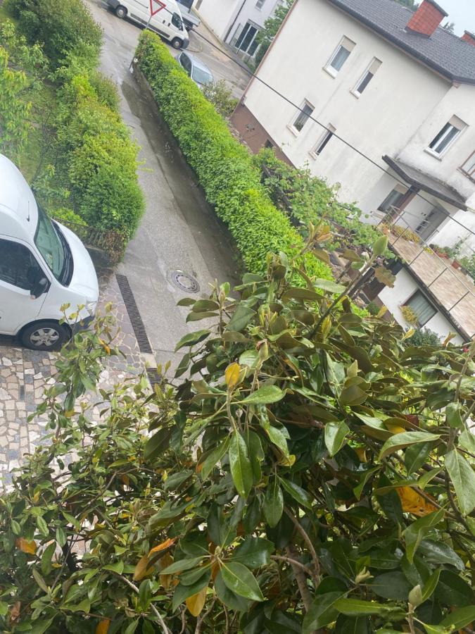 Apartma Magnolija ノヴァ・ゴリツァ エクステリア 写真
