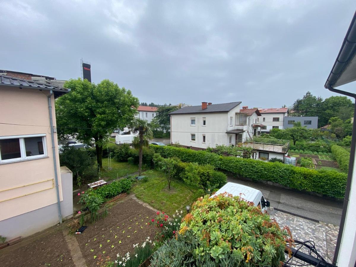 Apartma Magnolija ノヴァ・ゴリツァ エクステリア 写真